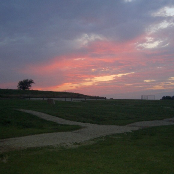 elywashington